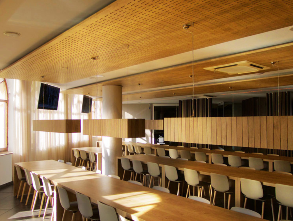 Decustik MICRO system microperforated acoustic panel detail — invisible acoustic function commercial fitout